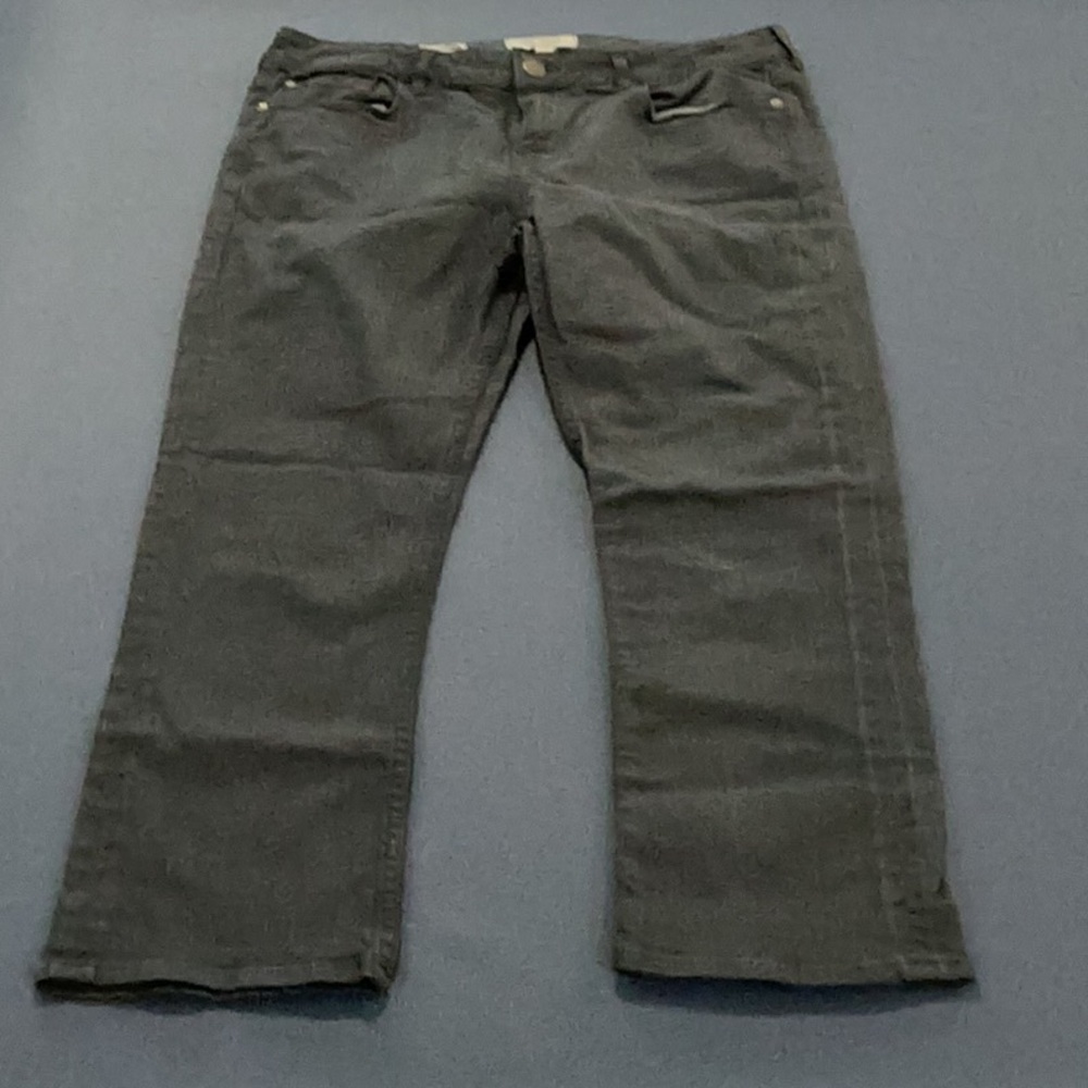 Dark Blue Casual Crop Pants